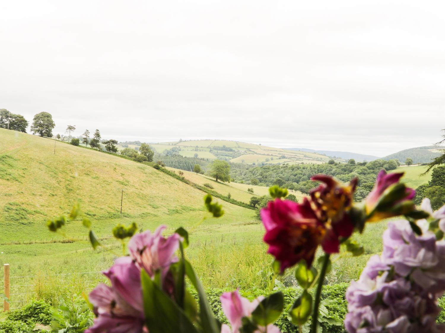 Rolling Hills Villa Newcastle  Екстериор снимка